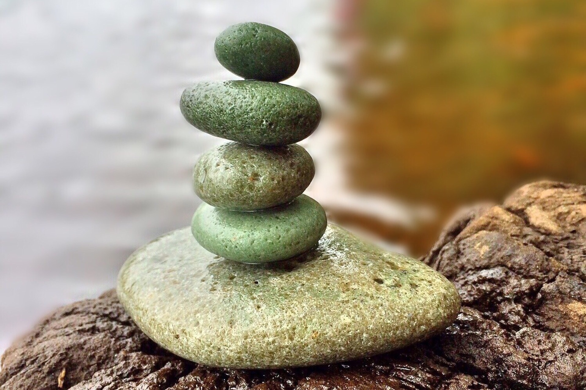Team_behavioral_styles - The Building Blocks of a Balanced Team